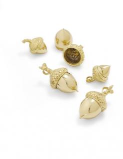 Multiple Brass Acorns in Use | Oak Meadow Bookstore