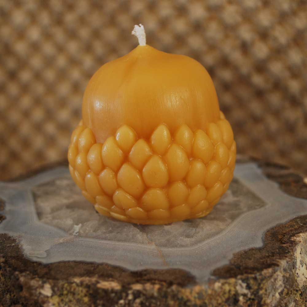 Beeswax Acorn Candle Gifts & Games Oak Meadow Bookstore