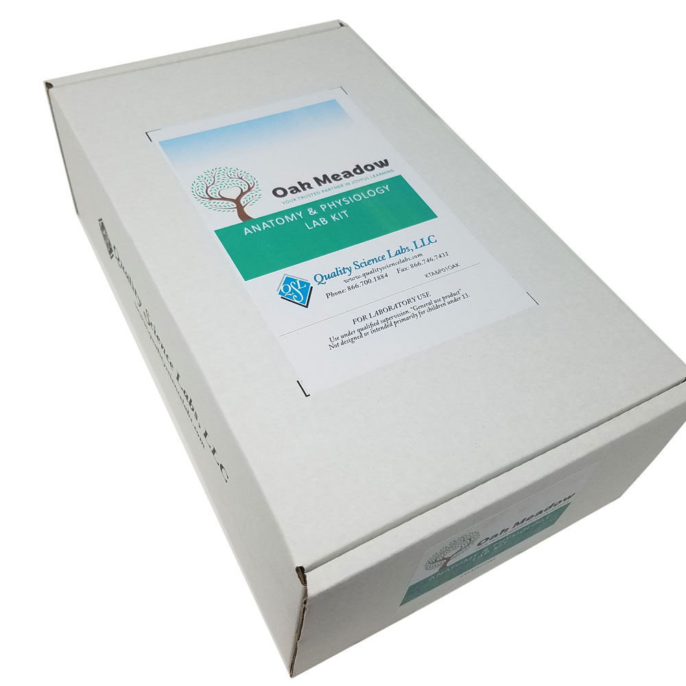 Anatomy & Physiology Lab Kit Oak Meadow Bookstore