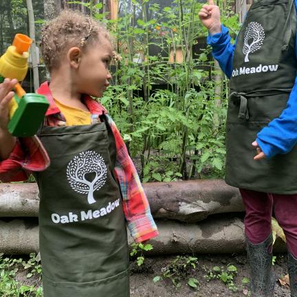 Oak Meadow Apron
