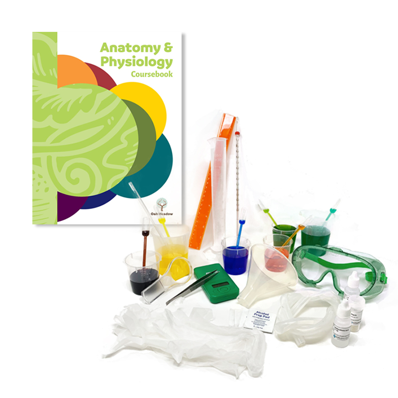 Human Anatomy & Physiology Package with Lab Kit (No Textbook)