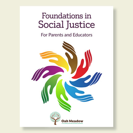 Foundations in Social Justice