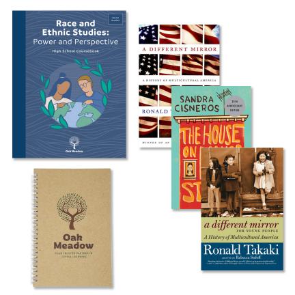 Race and Ethnic Studies Course Package